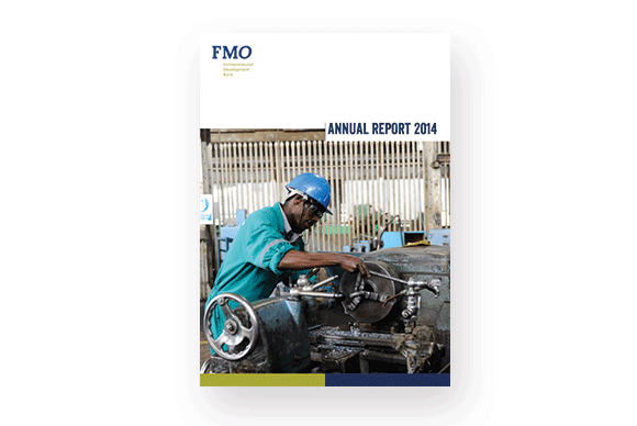 fmo annual report design